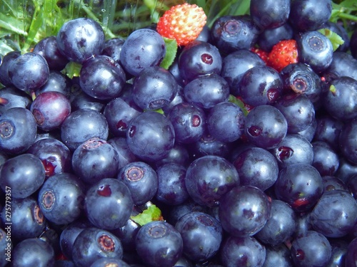Ripe blueberries and wild strawberries as a source of vitamins: A, C, B1, B6, vitamin PP and antioxidants