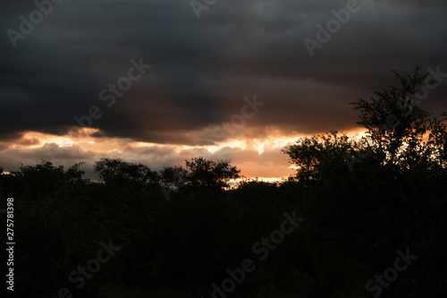 Sunrise, Sunset with dark clouds in africas savannah