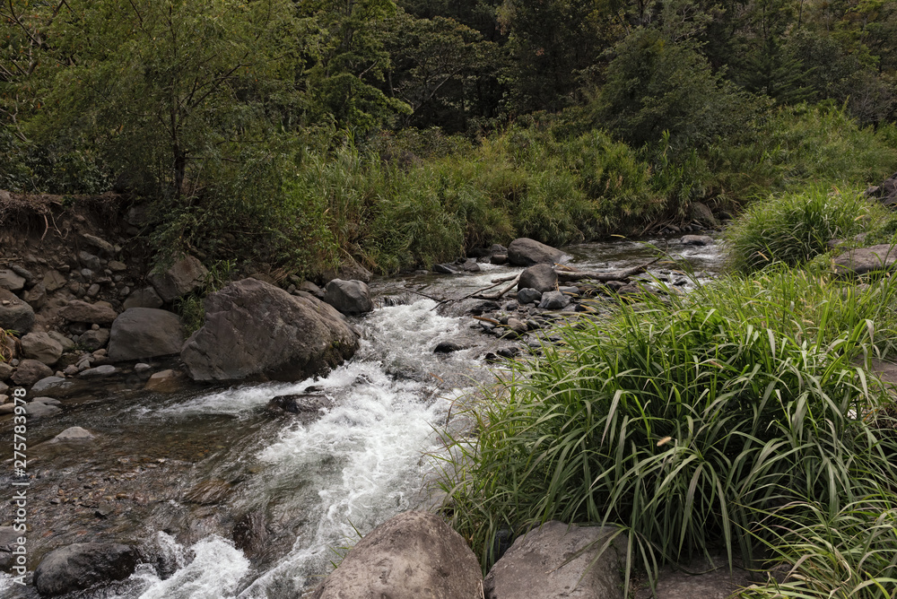 Small stream in Volcan Baru National Park Panama Small stream in Volcan Baru National Park Panama