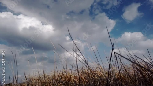 Motion Timelapse of Cloud in Blue and Gray Sky before Rain. Rural Scene. Dry Grass in Winter as foreground