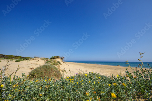 The sandy landscape of Marismas del Odiel National Park in Andalusia  Spain