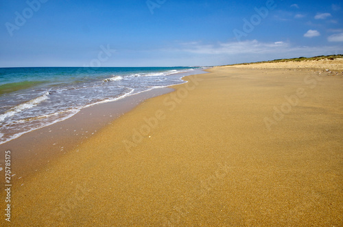 The sandy landscape of Marismas del Odiel National Park in Andalusia, Spain