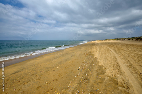 The sandy landscape of Marismas del Odiel National Park in Andalusia  Spain