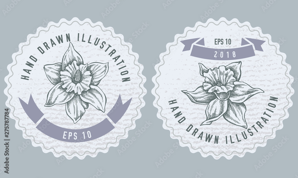 Monochrome labes with daffodil illustration