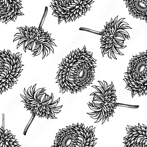 Seamless pattern with black and white helichrysum