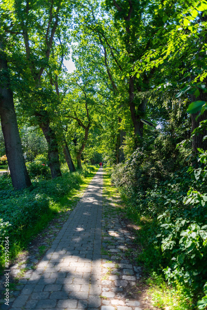 A tour past the Dunger lake
