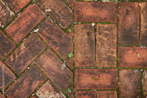 Fishbone and Double flemish bond red brick floor, green moss