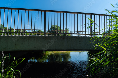 A tour past the Dunger lake photo