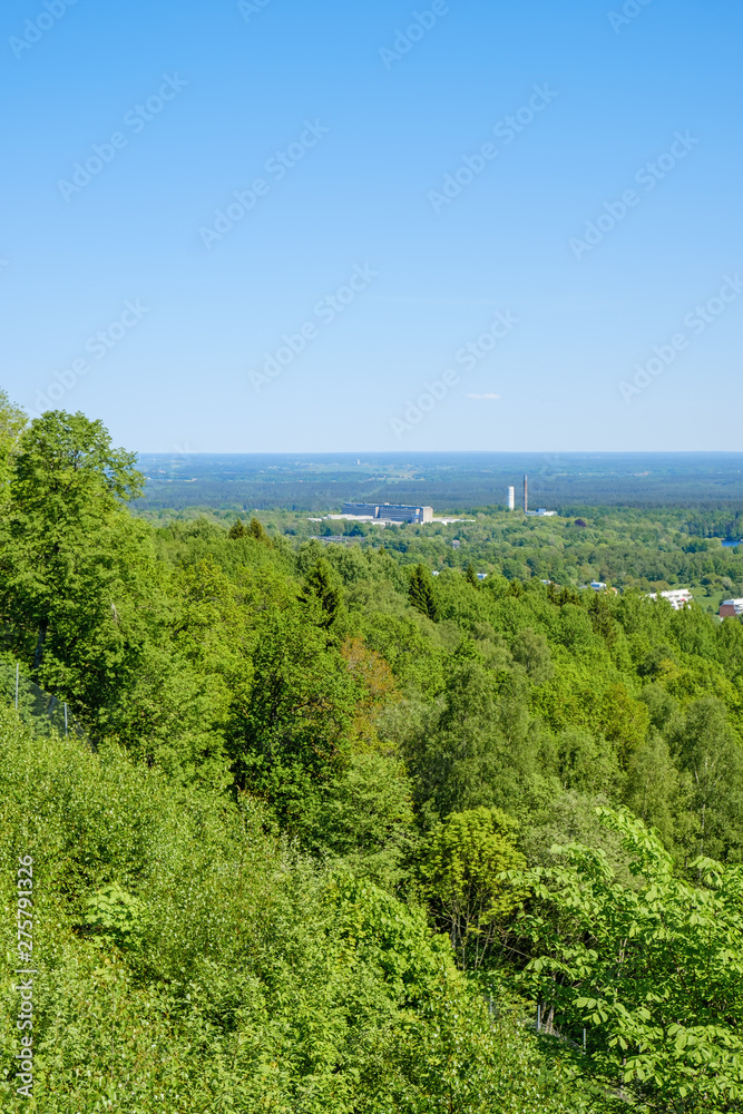 Fototapeta premium Mountain slope with a deciduous forest and beautiful view to the horizon