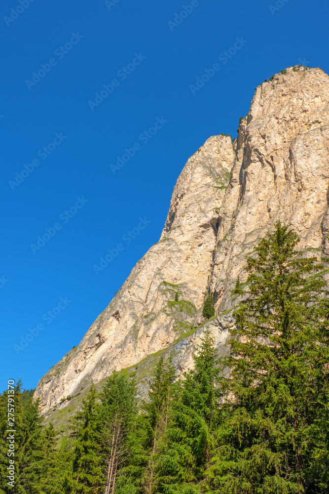 Steep cliff wall at a forest