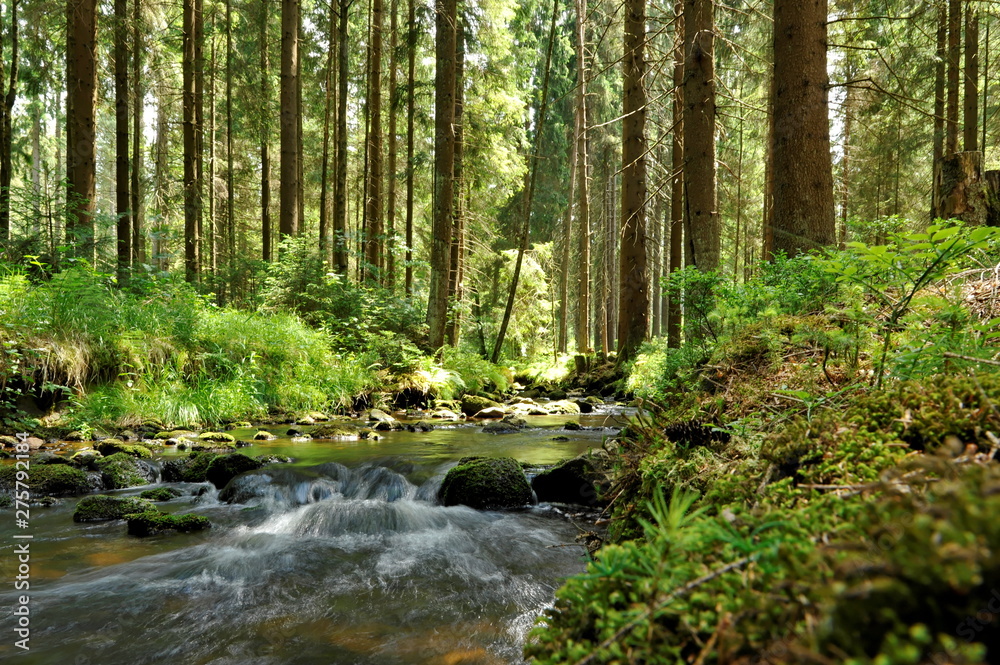 Naturpfad Ochsenkopf Naturpfad Ochsenkopf