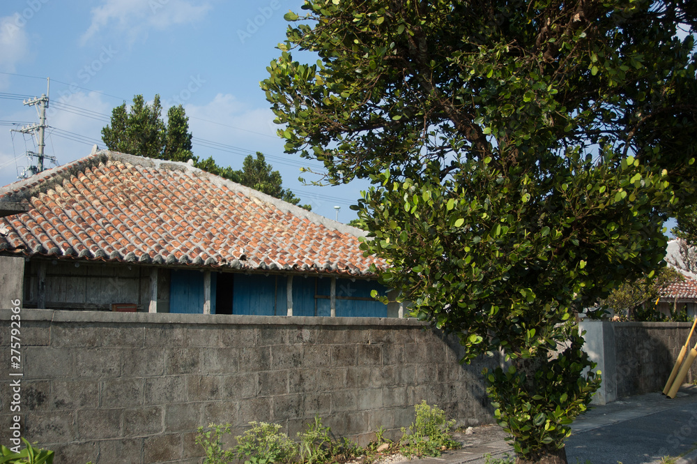 I went on a trip to Hateruma Island in Okinawa. I went on a trip to Hateruma Island in Okinawa.