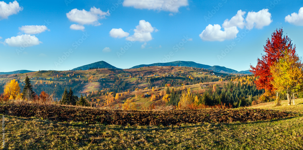 Autumn Carpathian village, Ukraine