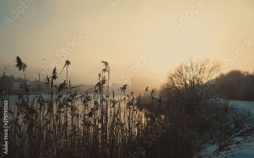 Birds over the river in an abandoned town © Andrey