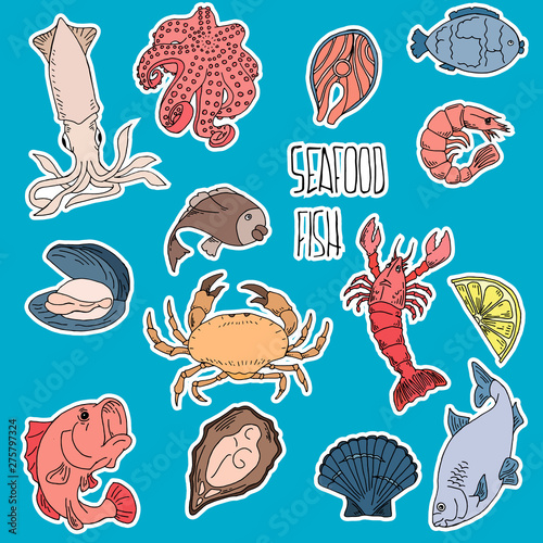 Set of hand drawn seafood, Healthy food drawings set elements for menu design. Vector illustration