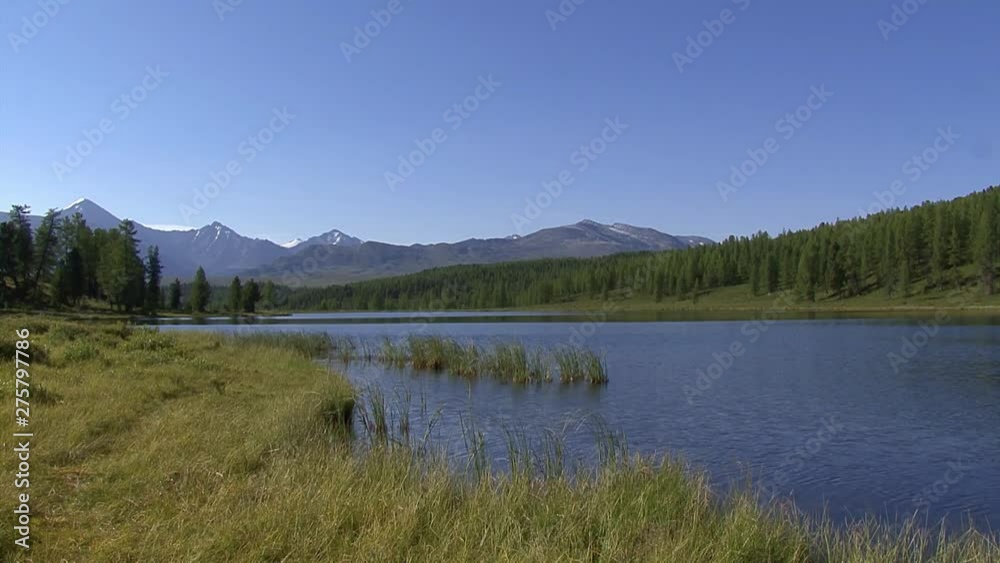 Altai. Landscapes of the foothills, the Ukok Plateau. Altai. Landscapes of the foothills, the Ukok Plateau.