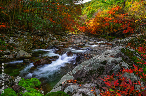 심원계곡  흐르는 골짜기 맑은 물과 가을 로 접어드는 시기에 촬영 photo