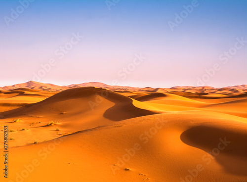 Amazing view of sand dunes in the Sahara Desert. Location  Sahara Desert  Merzouga  Morocco. Artistic picture. Beauty world.