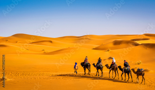 Canvas Print Camel caravan going through the sand dunes in beautiful Sahara Desert