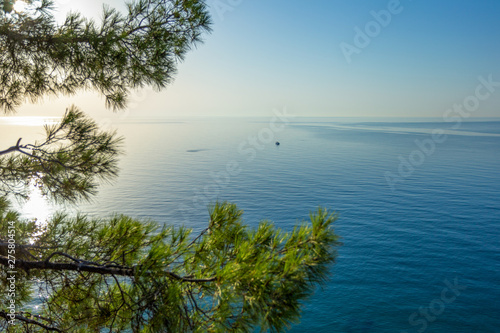 Pacified seascape in early morning  fishing boat can be seen in distance. In foreground is pine green branches. Aerial horizontal color photography.