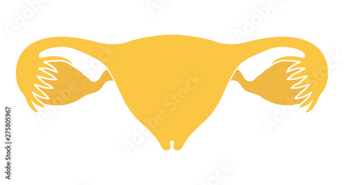 Iinternal organs of women. Uterus, ovaries and fallopian tubes. Vector illustration, flat design. Isolated on white background