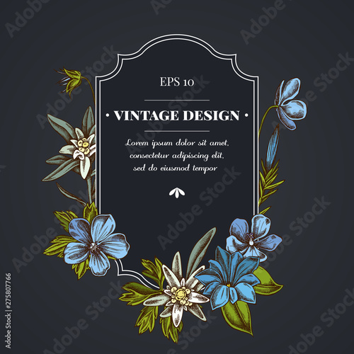 Dark badge design with edelweiss, meadow geranium, gentiana photo