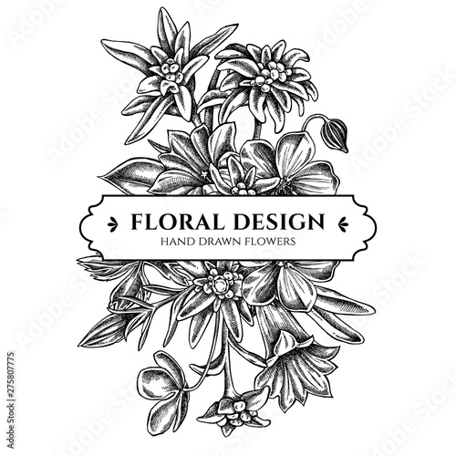 Floral bouquet design with black and white edelweiss, meadow geranium, gentiana photo