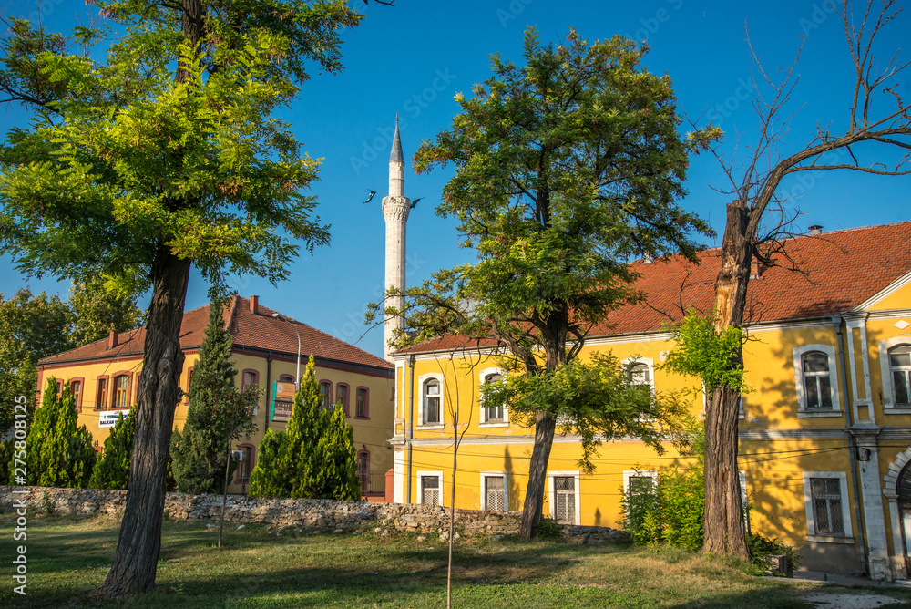 Fototapeta premium SKOPJE,Colorful buildings and trees.MACEDONIA-AUGUST 28,2018: