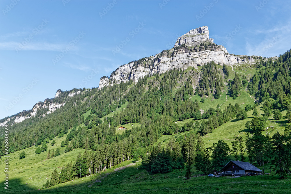 Chalet dans une vallée Suisse