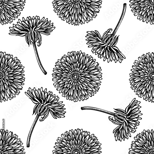 Seamless pattern with black and white dandelion