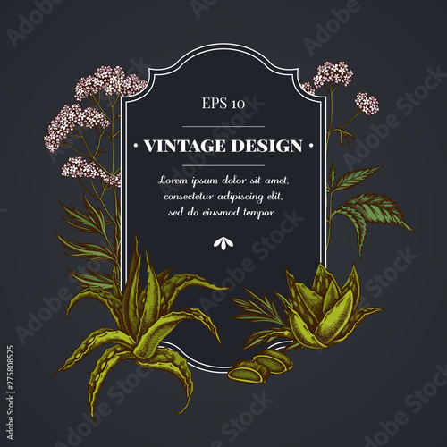 Dark badge design with aloe, nettle, valerian