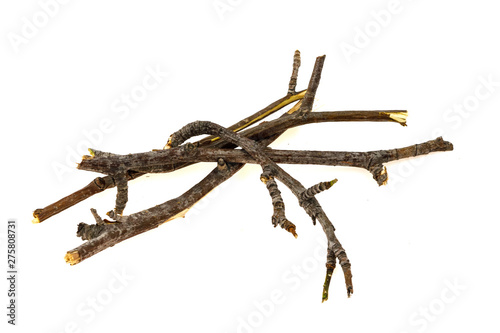 Dry tree twigs branches isolated on white background. close-up