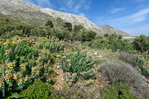 Berglandschaft auf Kalymnos photo