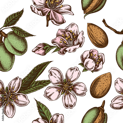 Seamless pattern with hand drawn colored almond