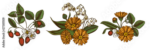 Flower bouquet of colored calendula, lily of the valley, strawberry