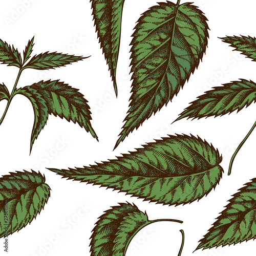 Seamless pattern with hand drawn colored nettle