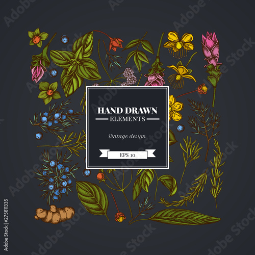 Square floral design on dark background with angelica, basil, juniper, hypericum, rosemary, turmeric