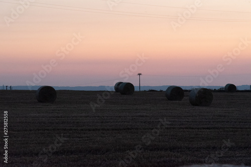 Beautiful view of a wheat field  full of the characteristic bales. The shot is taken at sunrise during a summertime day Sicily  Italy