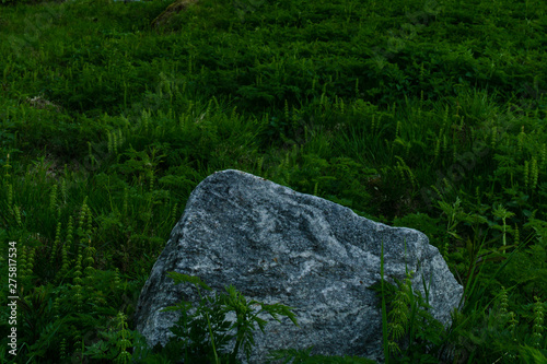Big stone in the northern meadow