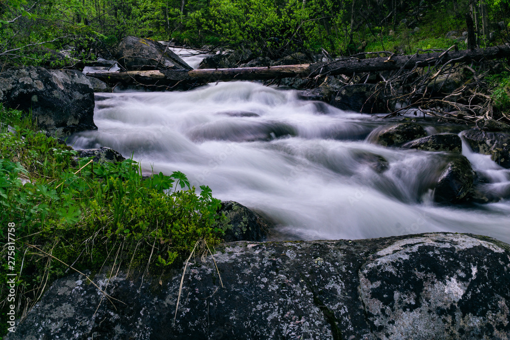 Obraz premium The rapids of the northern river in the night taiga