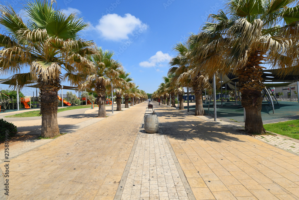 street in city of israel