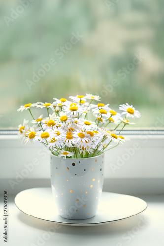 Fototapeta Naklejka Na Ścianę i Meble -  cute daisies in cup on windowsill, cozy rustic scene. summer season. chamomile flowers, gentle and pure nature. close up, copy space