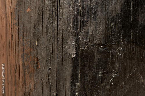 Telephone Pole Close Up Wood Texture with Tar