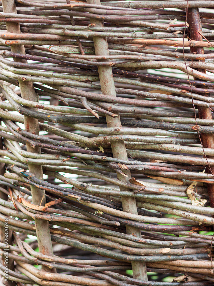 part of the fence woven from tree branches part of the fence woven from tree branches