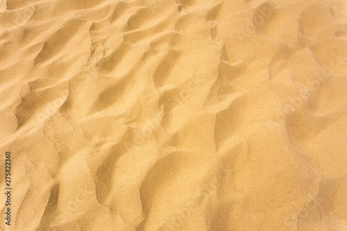 Background image of desert sand in the dunes