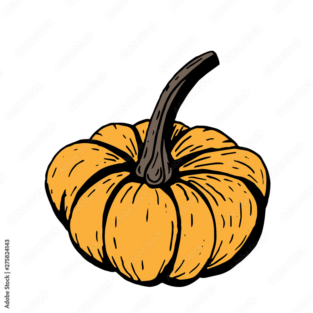 Orange pumpkin with black outline on white background, simple hand drawn vector illustration. Orange pumpkin with black outline on white background, simple hand drawn vector illustration.