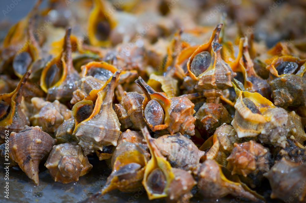 fresh seafood within the fish market in Spain - octopus, shells, shrimps, fish, oysters, lobster 