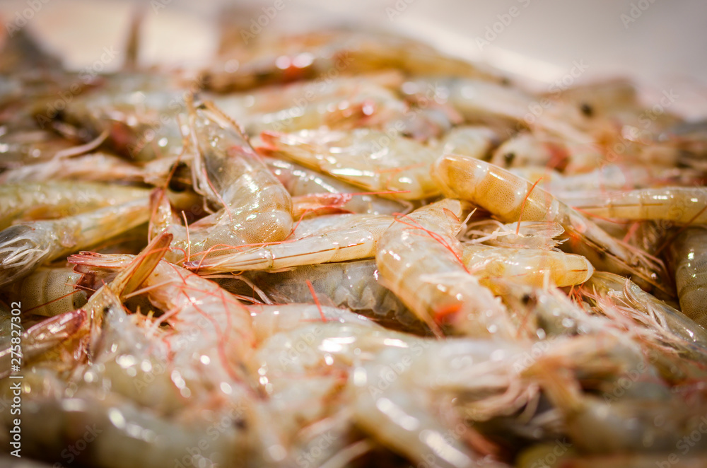 fresh seafood within the fish market in Spain - octopus, shells, shrimps, fish, oysters, lobster fresh seafood within the fish market in Spain - octopus, shells, shrimps, fish, oysters, lobster