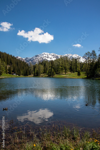 Fototapeta Naklejka Na Ścianę i Meble -  View of a small lake, green meadows in front of high mountains at blue sky in the Swiss Alps in the Davos / Kloster area.