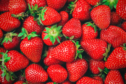 many red ripe strawberries with green stalks - background